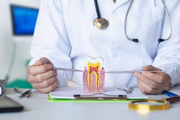 Best Pediatric Emergency Dentist in Tracy City, TN